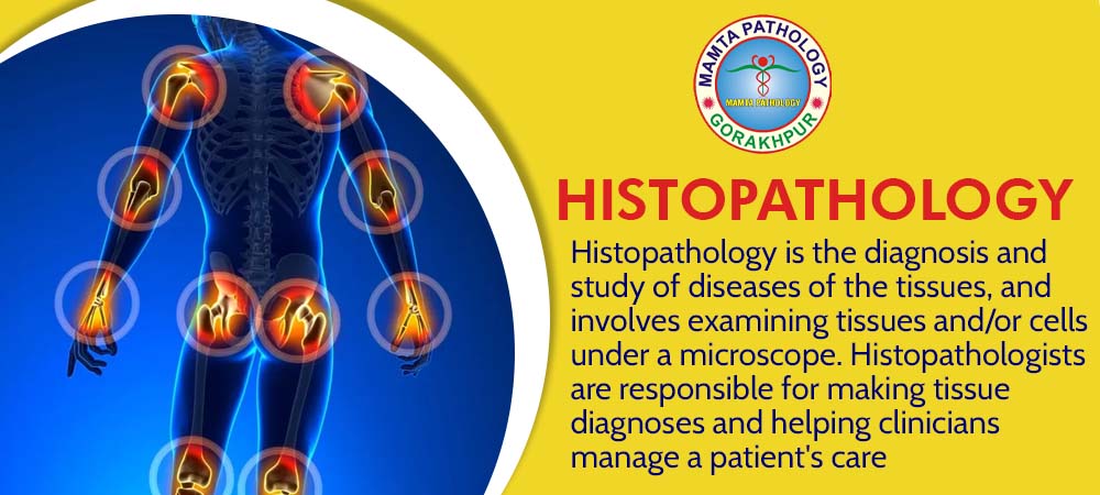 Histopathology Lab Test in Gorakhpur