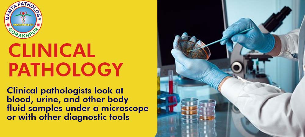 Clinical Pathology Lab in Gorakhpur