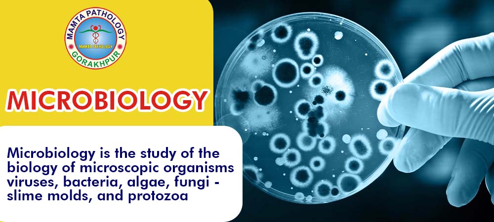 Microbiology Lab in Gorakhpur